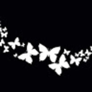 Meet your Posher, Lexi